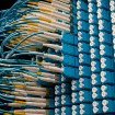 Telecom & Networking Interconnects