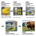 CattleCompass – 4G GPS Cattle Tracking Ear Tag