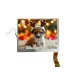 5.6 Inch 320*234 High Definition RGB Interface LCD Display Module