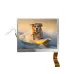 5.6 Inch 320*234 High Definition RGB Interface LCD Display Module