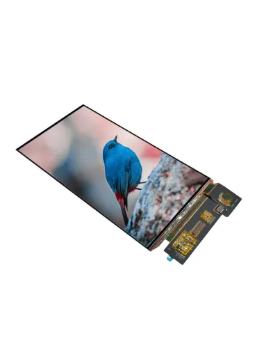 7 Inch 1080*1920 OLED Display Module With MIPI Interface and 800 Nits