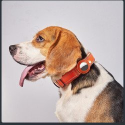 PetTrack GPS Mini – Smart Waterproof Find My Pet Asset Tracker Collar