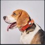 PetTrack GPS Mini – Smart Waterproof Find My Pet Asset Tracker Collar